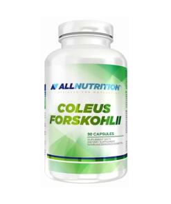 Coleus Forskohlii - 90 kapselia