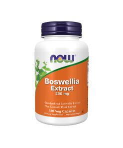 Boswellia Extract Plus Turmeric Root Extract
