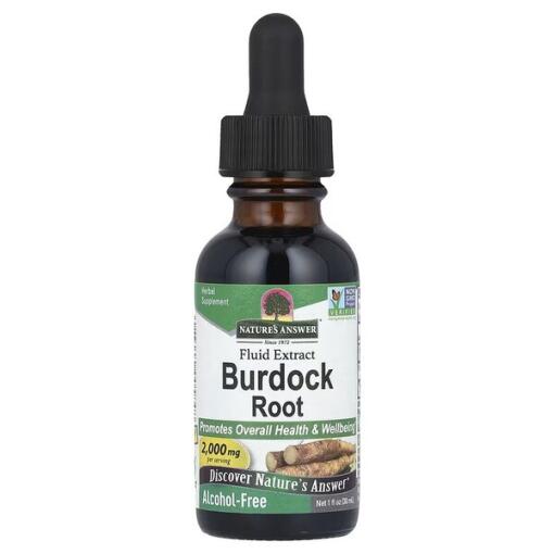 Burdock Root