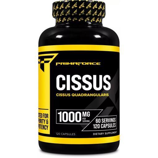 Cissus