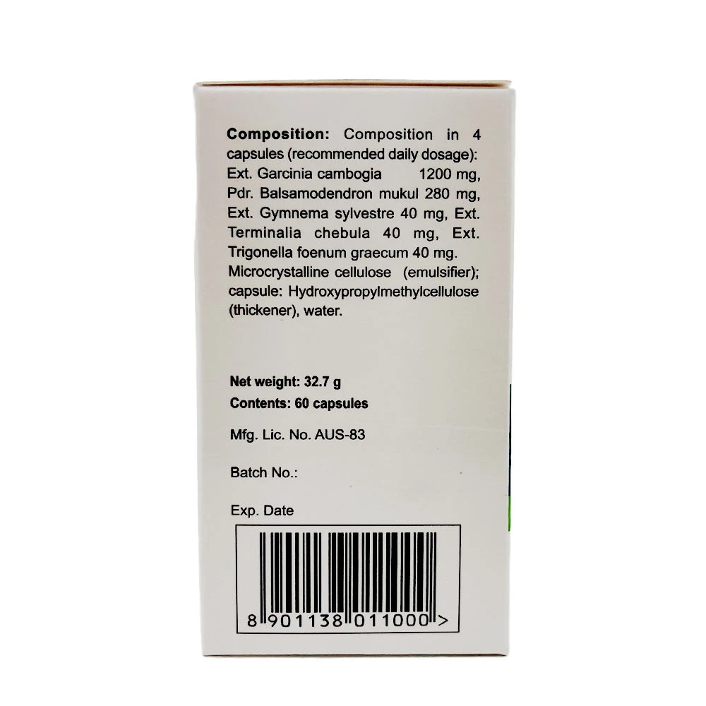 AyurSlim - 60 kapsler - Image 2