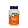 Boswellia Extract 500 mg