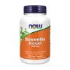Boswellia Extract Plus Turmeric Root Extract