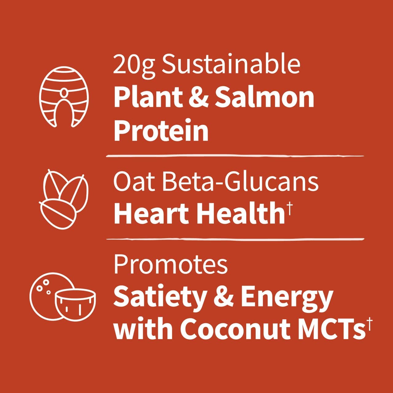 Dr. Formulated MD Kasviproteiinijauhe & kestävä lohi, Vaniljanmakuinen - 644g - Image 5