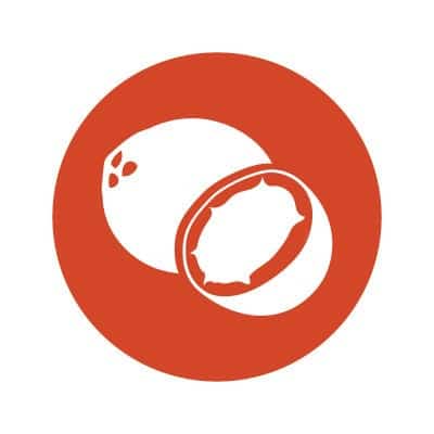 Dr. Formulated MD Kasviproteiinijauhe & kestävä lohi, runsas suklaa - 686g - Image 7