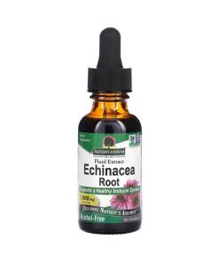 Echinacea Root