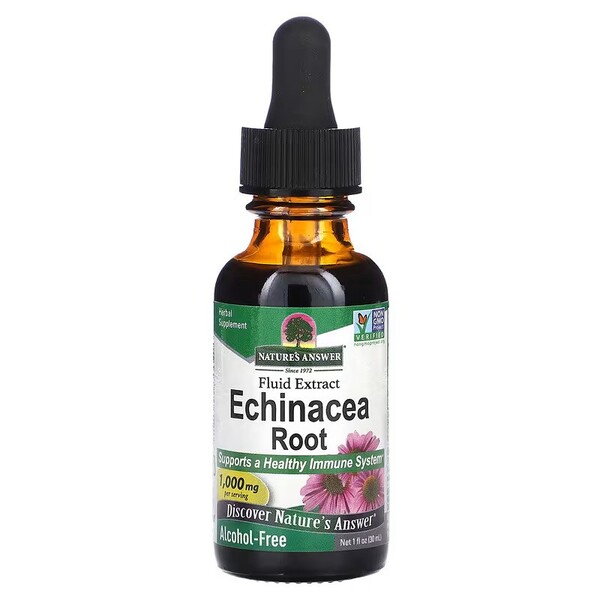Echinacea Root