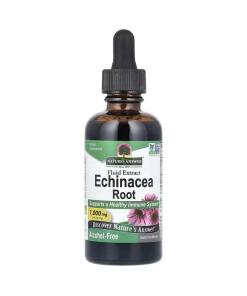 Echinacea Root