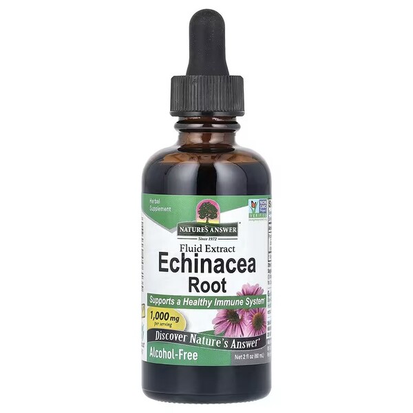 Echinacea Root