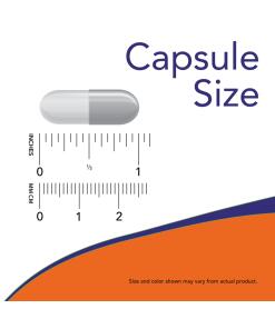 EpiCor Plus Immunforsvar - 60 kapselia - Image 3