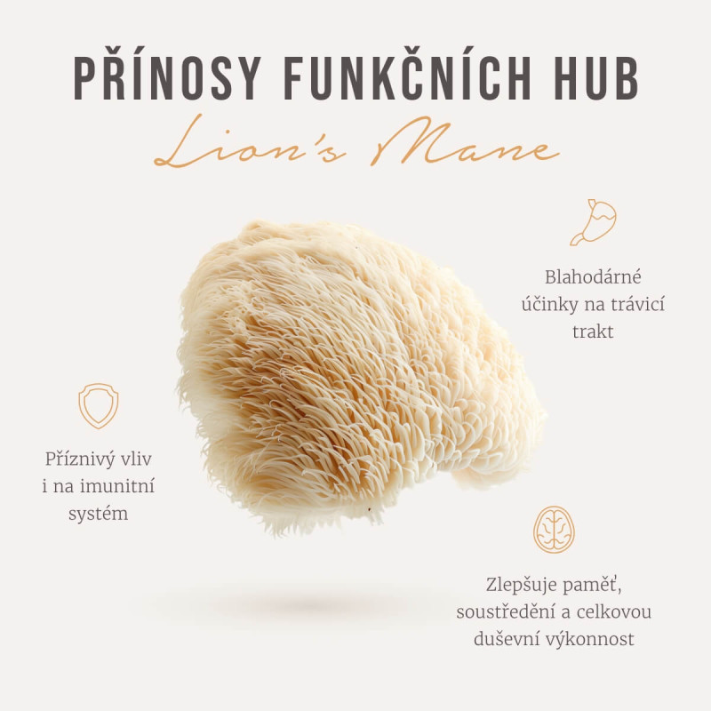 Four Sigmatic - Lion's Mane -sienikahvisekoitus kokonaisina papuina - Image 2