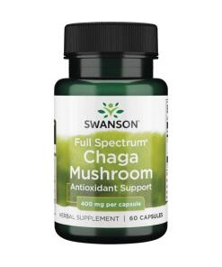 Full Spectrum Chaga Mushroom