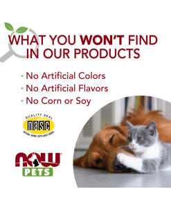 NOW Pets - Vatsan ja suoliston tuki koirille ja kissoille - Image 4