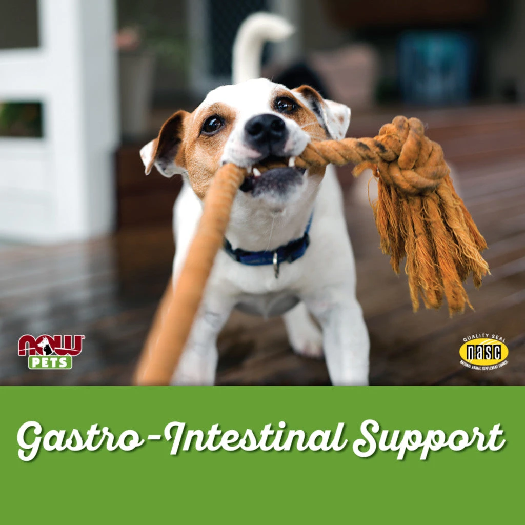 NOW Pets - Vatsan ja suoliston tuki koirille ja kissoille - Image 7