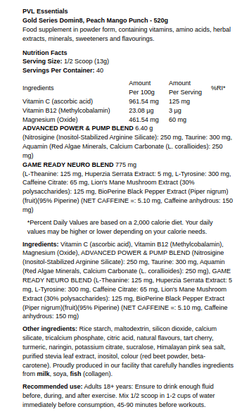 Fersken Mango Punch - 520g