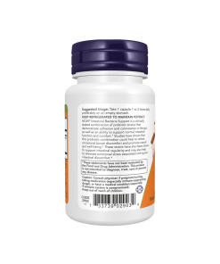 NOW Foods - Suoliston Bakteerituki (60 kapselia) - Image 3