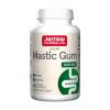 Mastic Gum - 60 vcaps