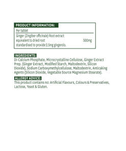 Natures Aid - Vakioitu inkiväärijuuri 500 mg (90 tablettia) - Image 2