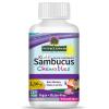 Nature's Answer Kids Sambucus Chewables 45 Chewable Tablets