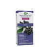 Elderberry)