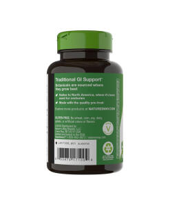 Nature's Way - Slippery Elm Bark (100 kapselia) - Image 3