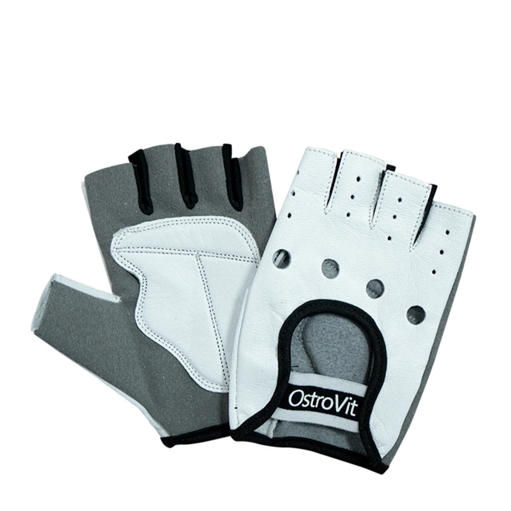 Ostrovit Men's Gloves