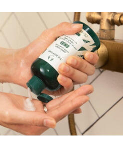 The Body Shop - Inkiväärihoitoaine (250 ml) - Image 3