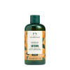 The Body Shop Satsuma Shower Gel (250 ml
