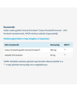 USA Medical - Forskolin 10% Forslean (60 kapselia) - Image 2