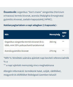 USA Medical - USA Medical Leijonanharjas (60 kapselia) - Image 2