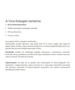 Vitaking - Vitaking VI-Vaha Kollageeni (500 ml) - Image 2