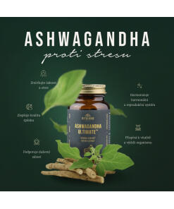 Vitalvibe - Ashwagandha Ultimate Organic KSM-66® 500 mg uute, kapselit - Image 3