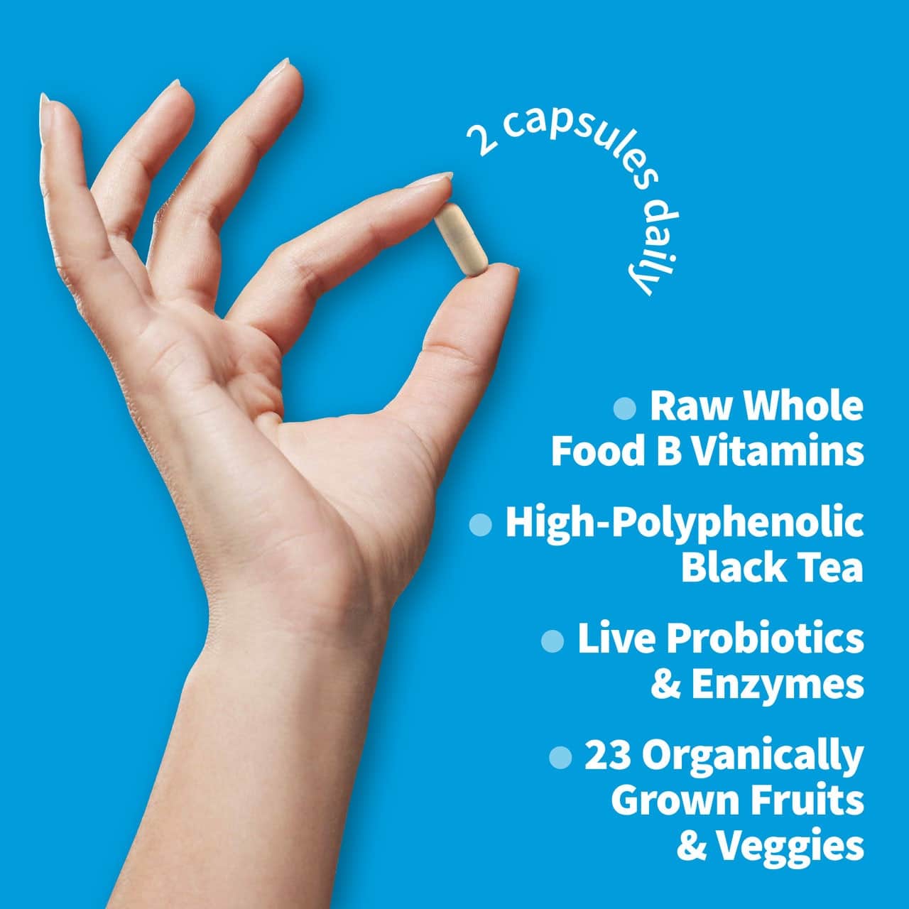 Vitaminikoodi Raaka Kombutša - 60 kasviskapselia - Image 4