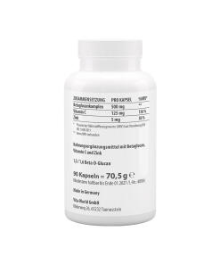 Vitaworld - Betaglukaani 500 (90 kapselia) - Image 2
