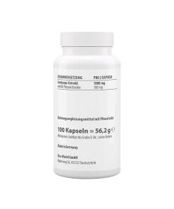 Vitaworld - Vitaworld Cordyceps-uute 500 mg CS4 (100 kapselia) - Image 2