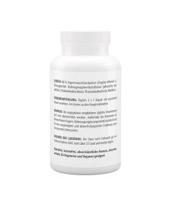 Vitaworld - Inkivääri 500 mg (120 kapselia) - Image 3