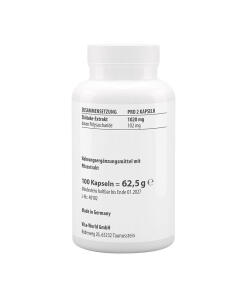 Vitaworld - Shiitake-uute 500 mg (100 kapselia) - Image 2