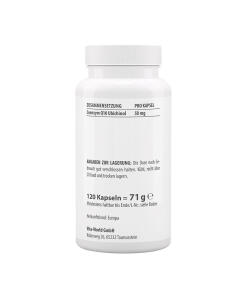 Vitaworld - Ubikinoli 50 mg (120 kapselia) - Image 2