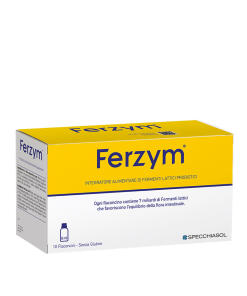 Natur Tanya S. Ferzyme Intestinal Flora Ampoule (10x8 ml)