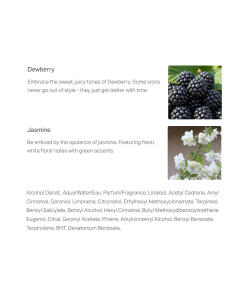 The Body Shop - Dewberry-tuoksusuihke (100 ml) - Image 2