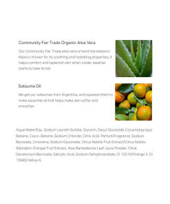 The Body Shop - Satsuma Suihkugeeli (750 ml) - Image 2